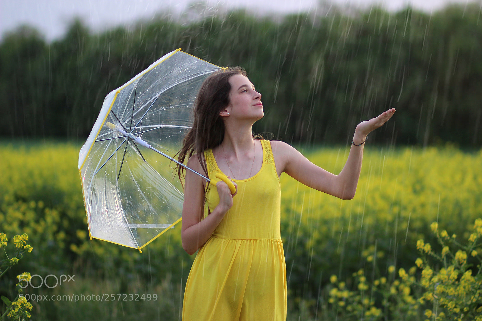 Canon EOS 600D (Rebel EOS T3i / EOS Kiss X5) sample photo. Girl and umbrella photography