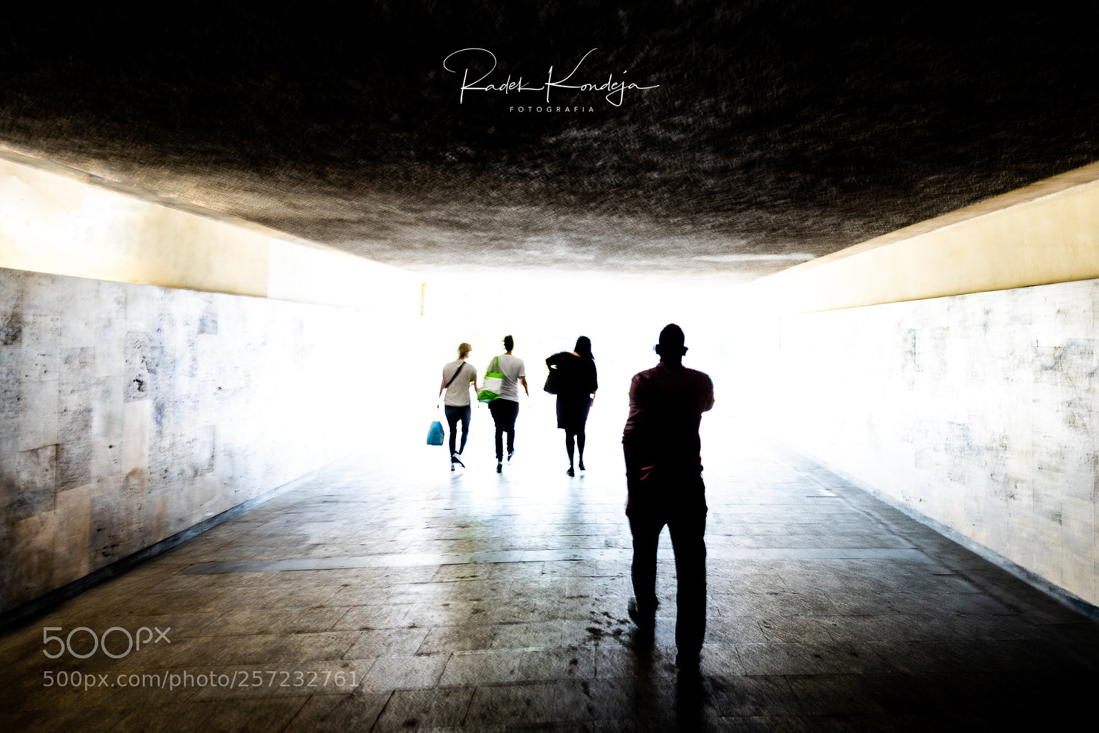Nikon D810 sample photo. . photography