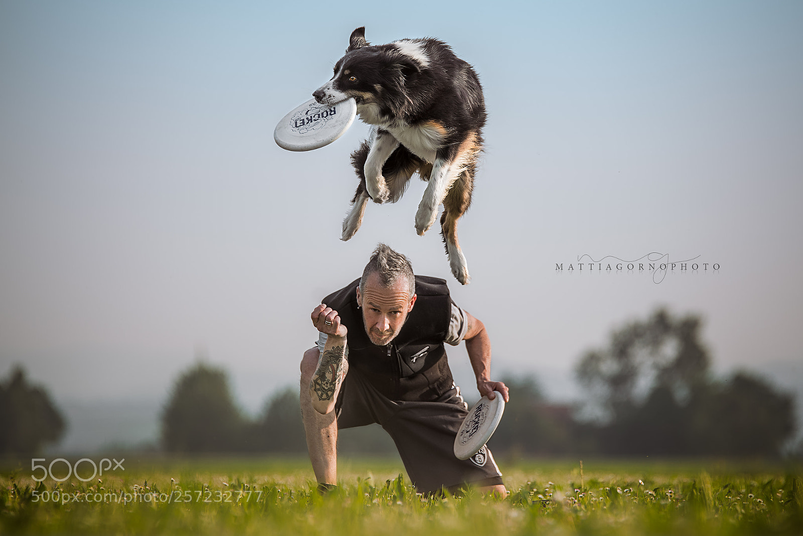 Nikon D750 sample photo. Disc dog photography