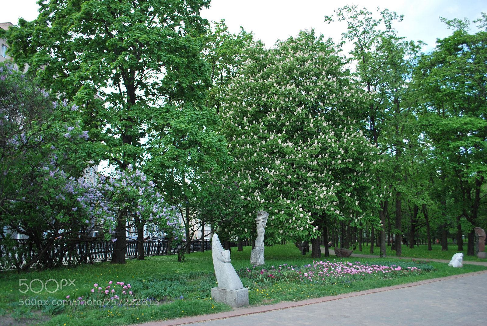 Nikon D60 sample photo. Parks of minsk photography