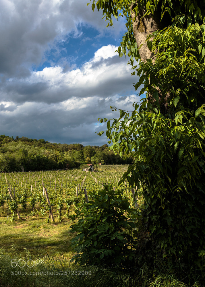 Canon EOS 6D sample photo. Prospettive photography