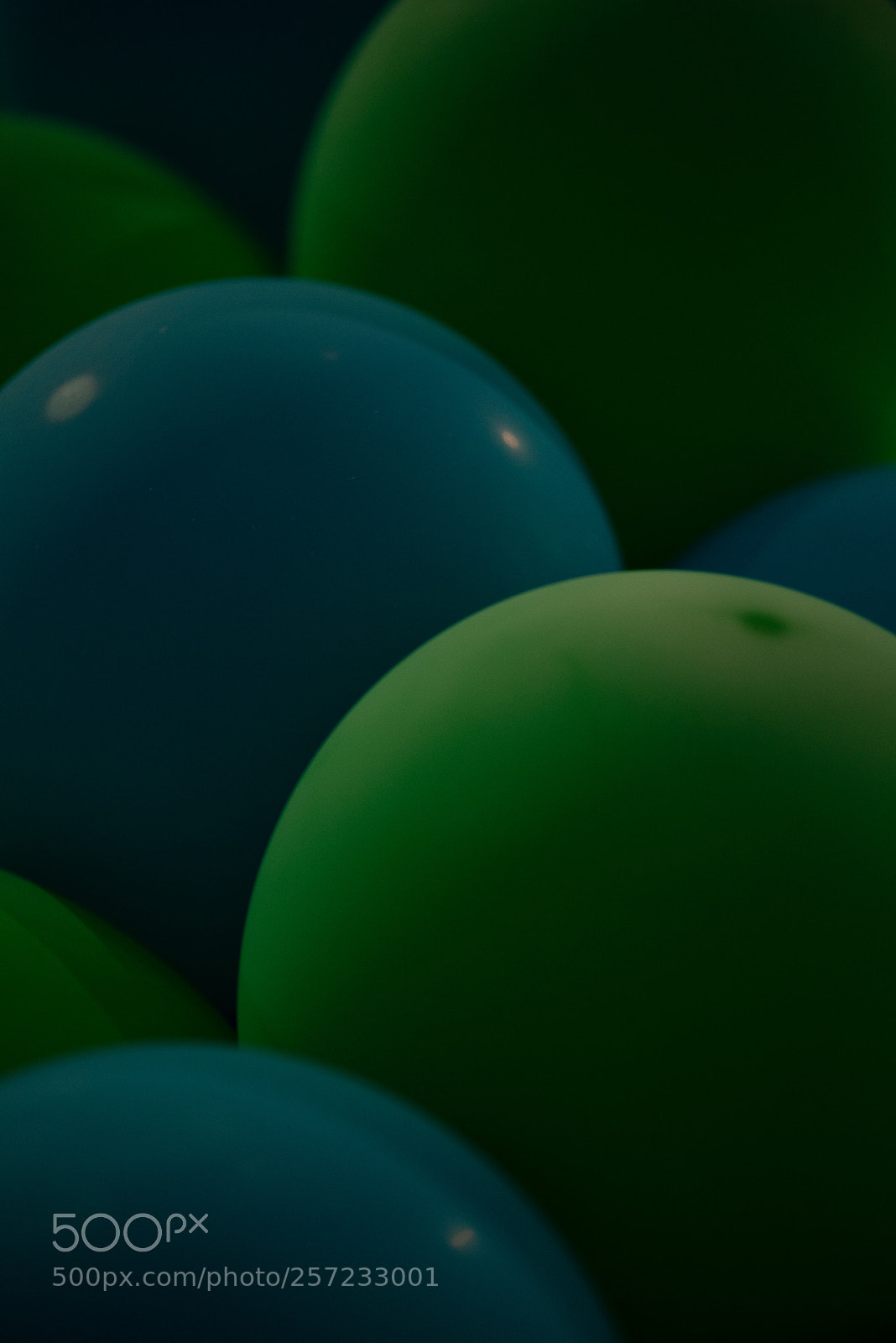 Nikon D750 sample photo. Globos - balloons photography