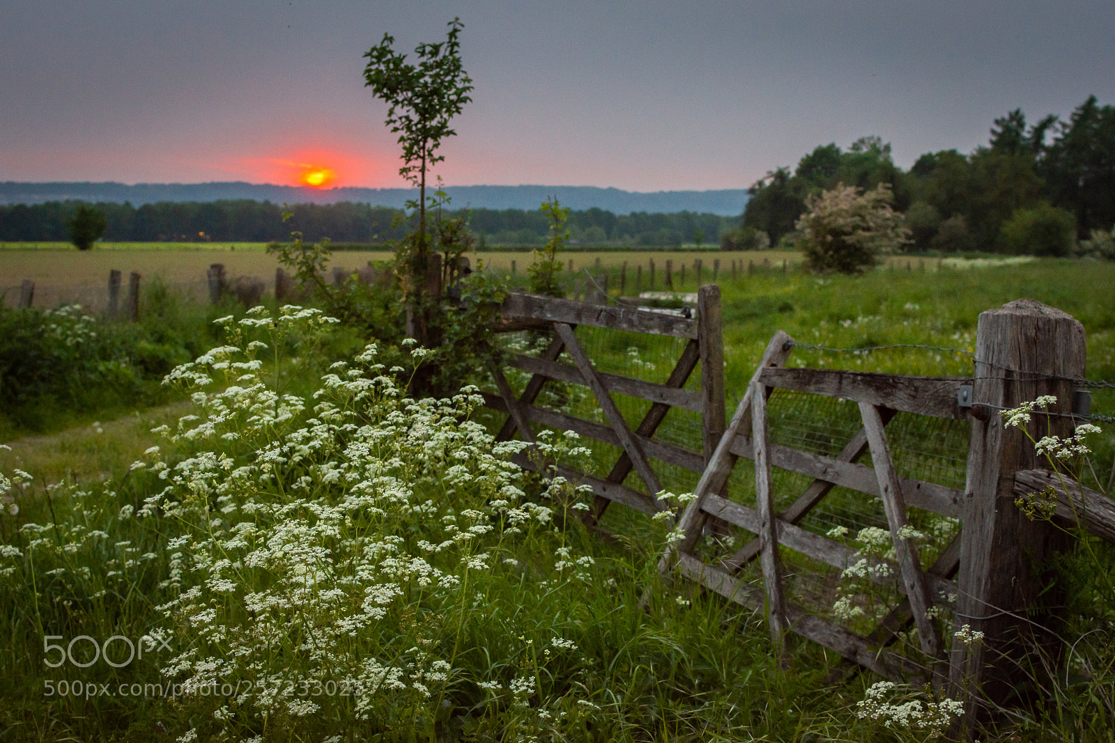 Nikon D7200 sample photo. When the sun goes photography