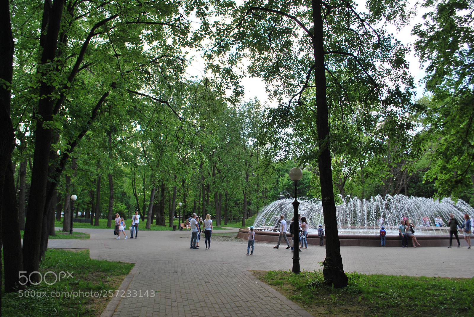 Nikon D60 sample photo. Parks of minsk photography