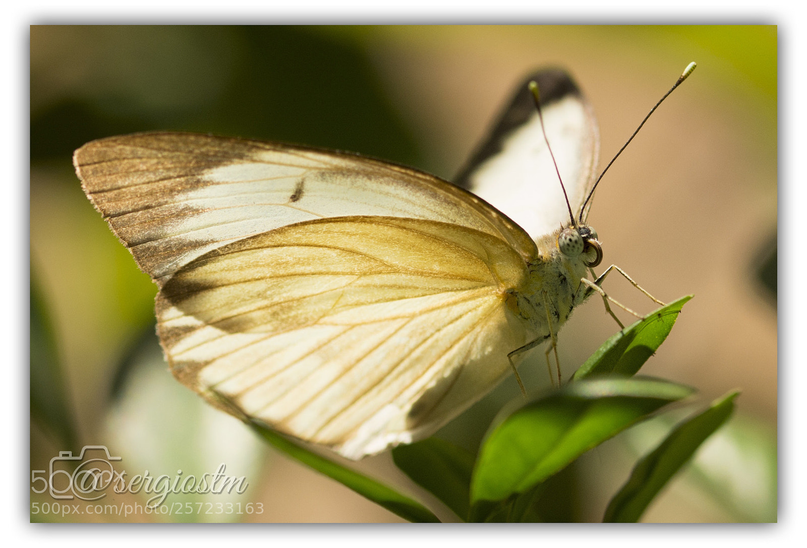 Nikon D7100 sample photo. Morning light photography