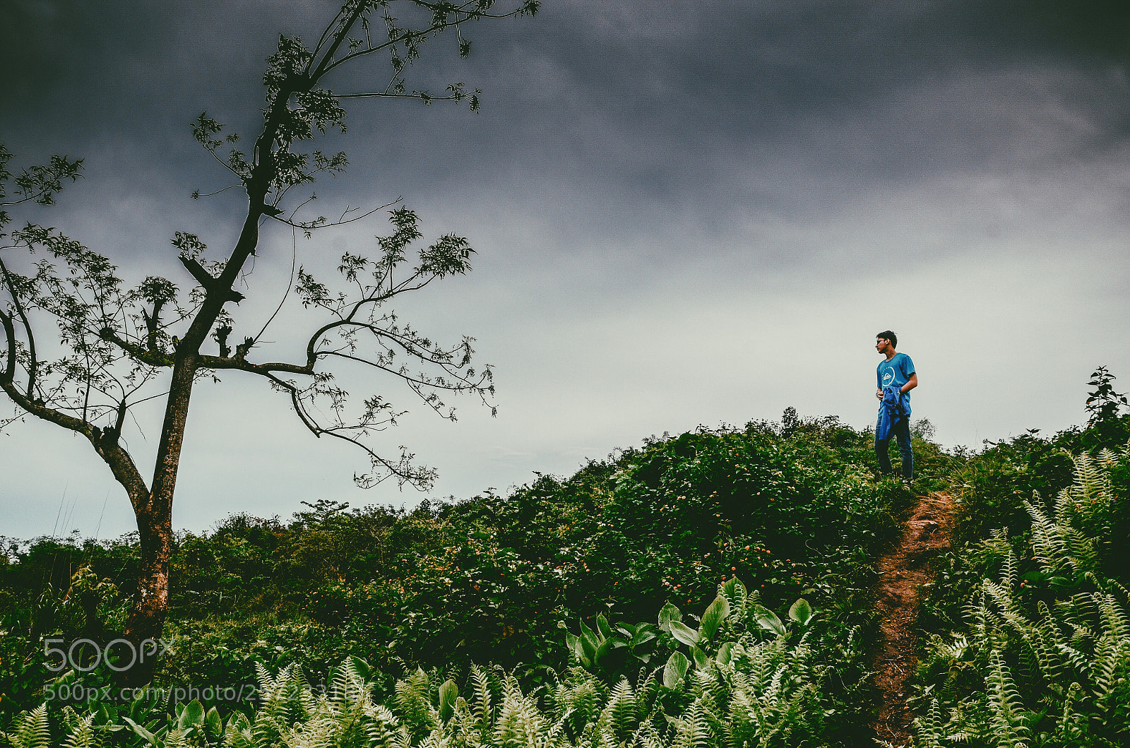 Nikon D7000 sample photo. Escaping from the ordinary. photography