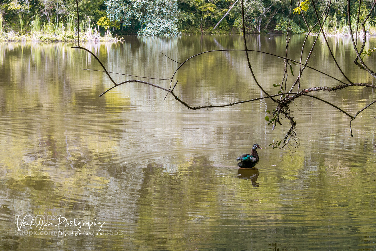 Nikon D3300 sample photo. El lago de el photography
