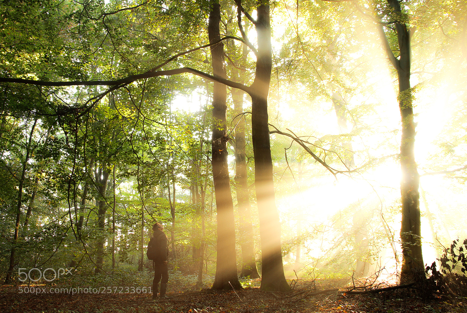 Canon EOS 7D sample photo. Standing in the light photography