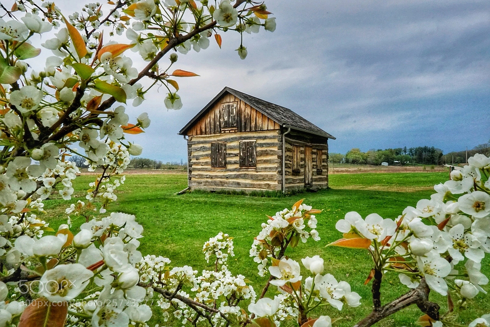 Sony a5100 sample photo. Paradise photography