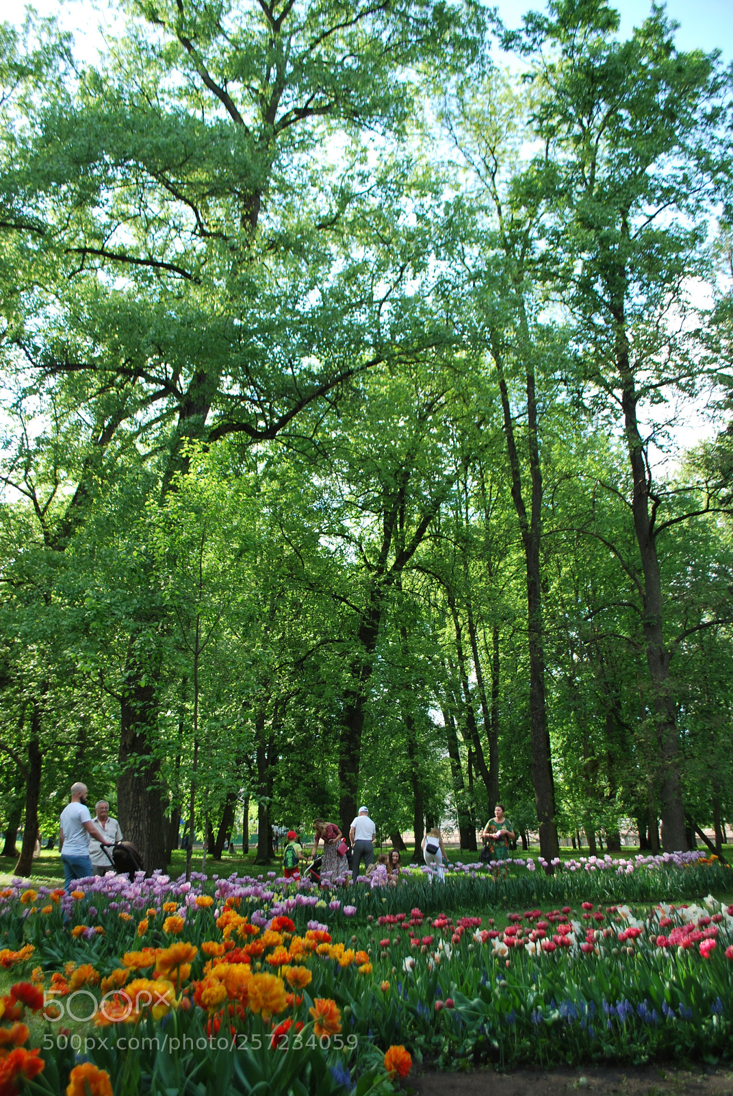 Nikon D60 sample photo. Parks of minsk photography