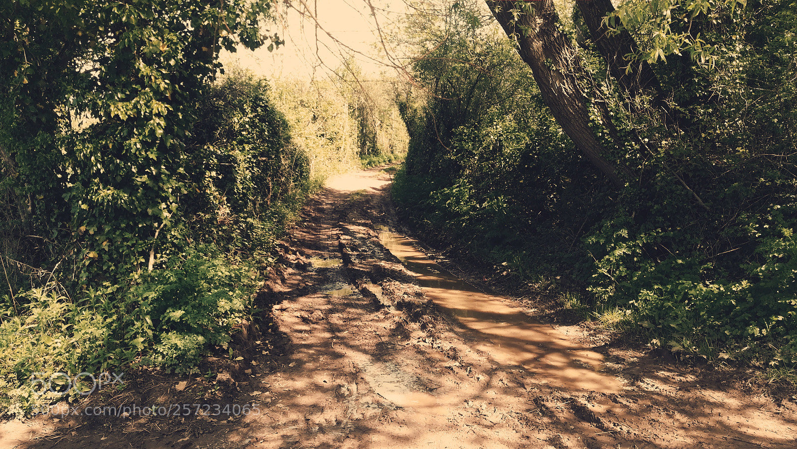 HUAWEI PRA-LX1 sample photo. Out of the dirt photography