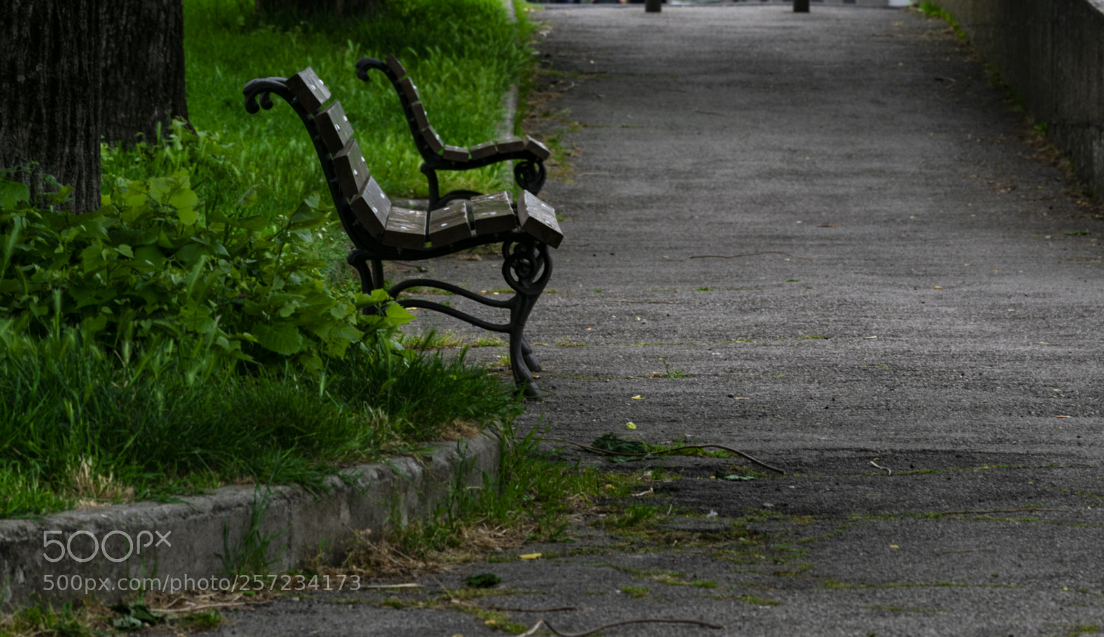 Nikon D3300 sample photo. Bench photography