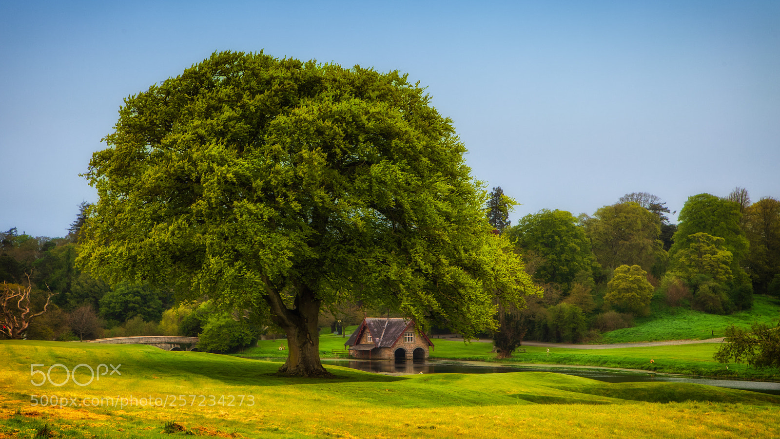 Canon EOS 6D sample photo. Spring at carton photography