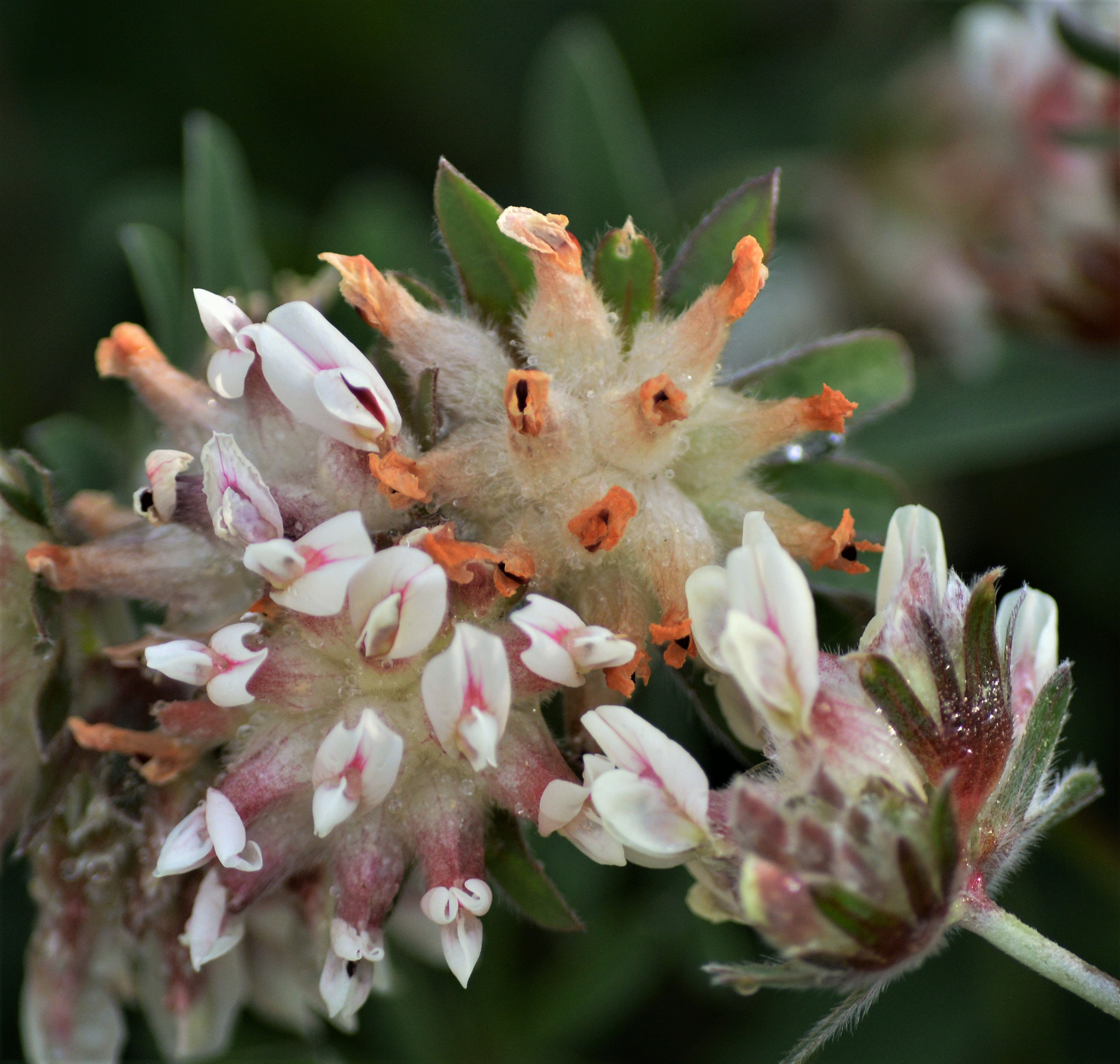 Nikon D3200 sample photo