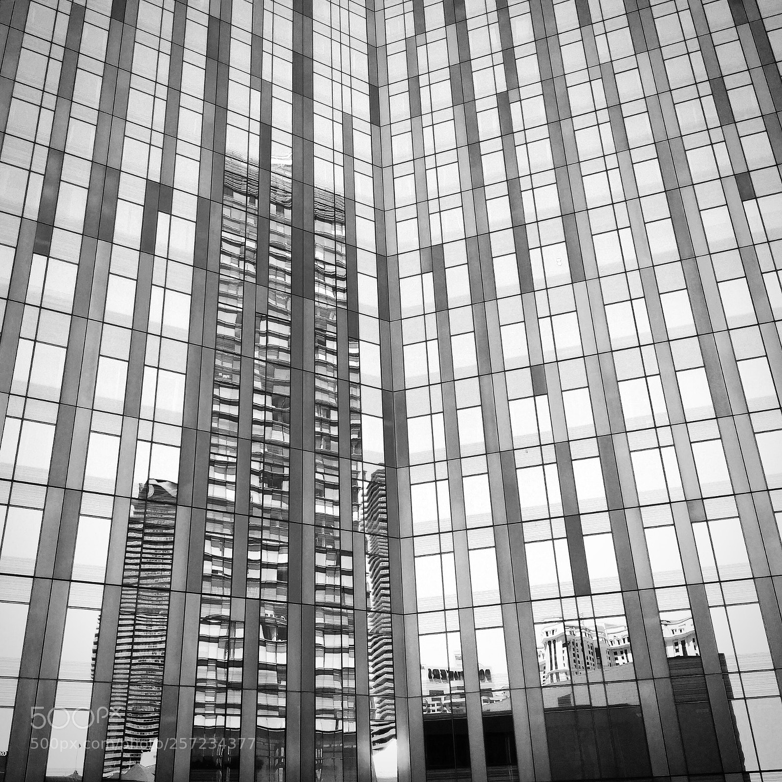 Apple iPhone 6 Plus sample photo. Reflection photography