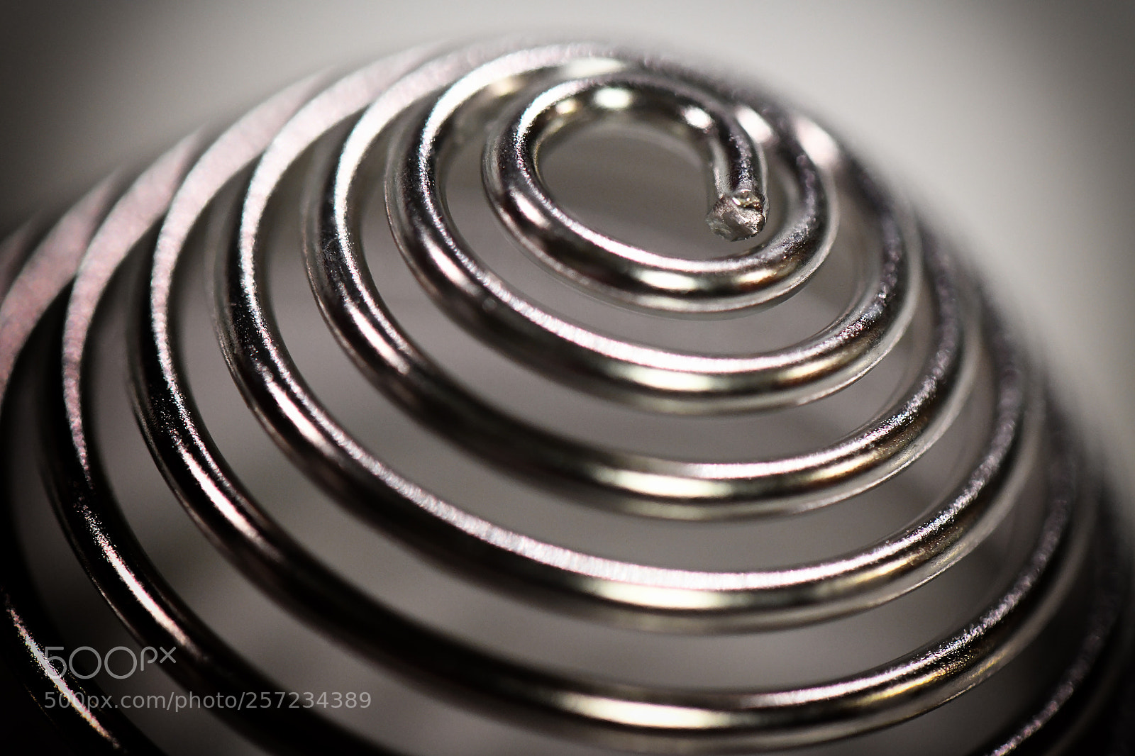 Nikon D850 sample photo. D850 macro test shots photography