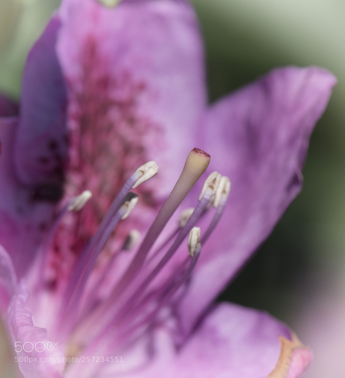 Nikon D850 sample photo. Edr photography
