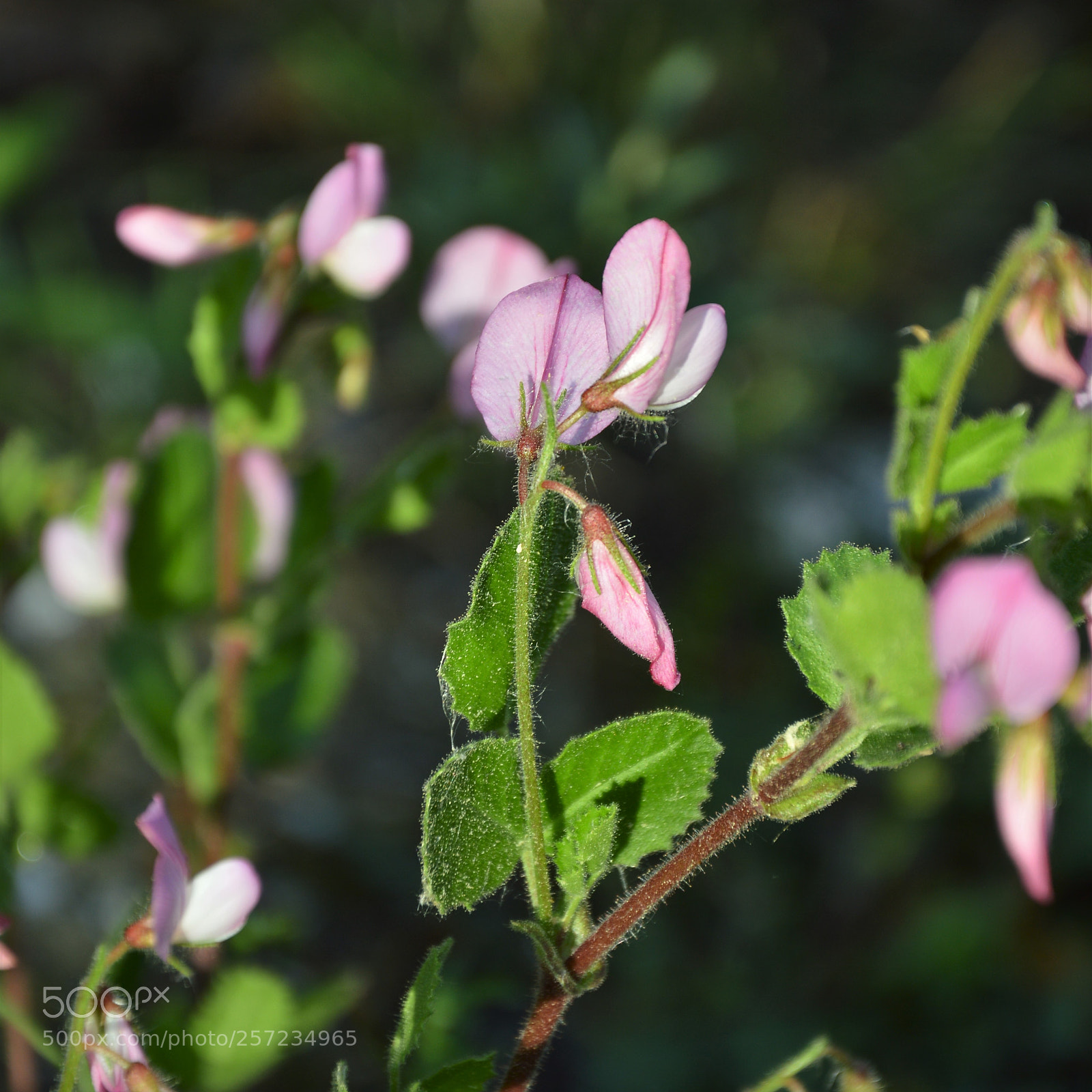 Nikon D3200 sample photo. Untitled photography