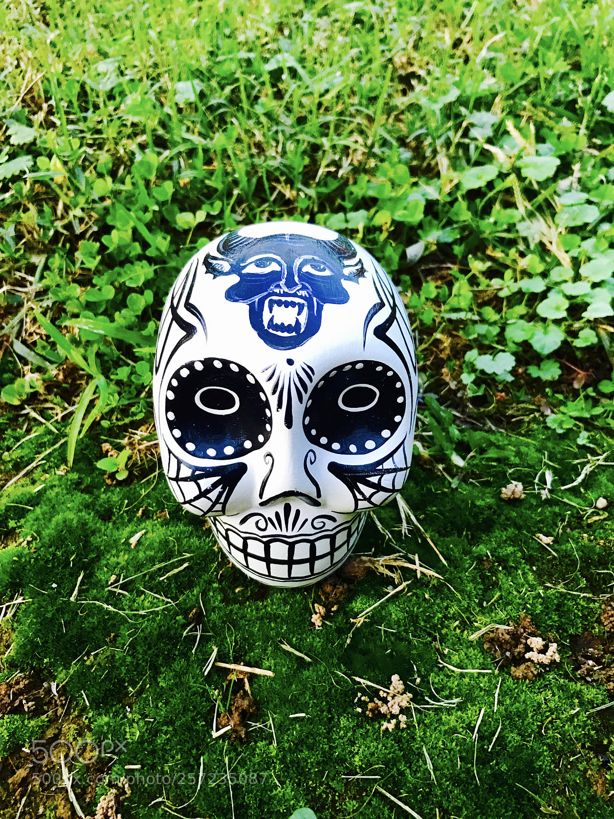 Apple iPhone 7 sample photo. Sugar skull photography