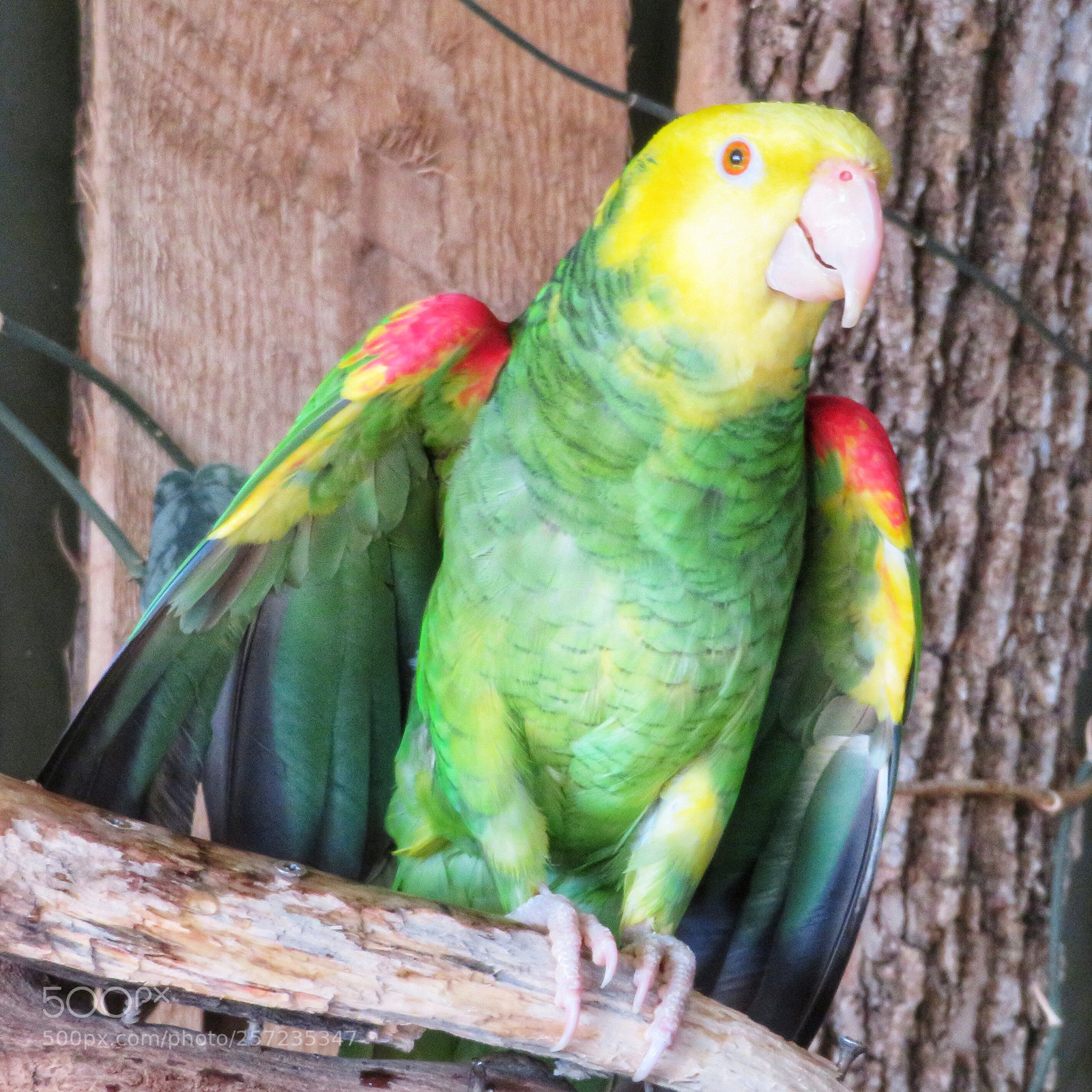 Canon PowerShot SX720 HS sample photo. Hugs! photography