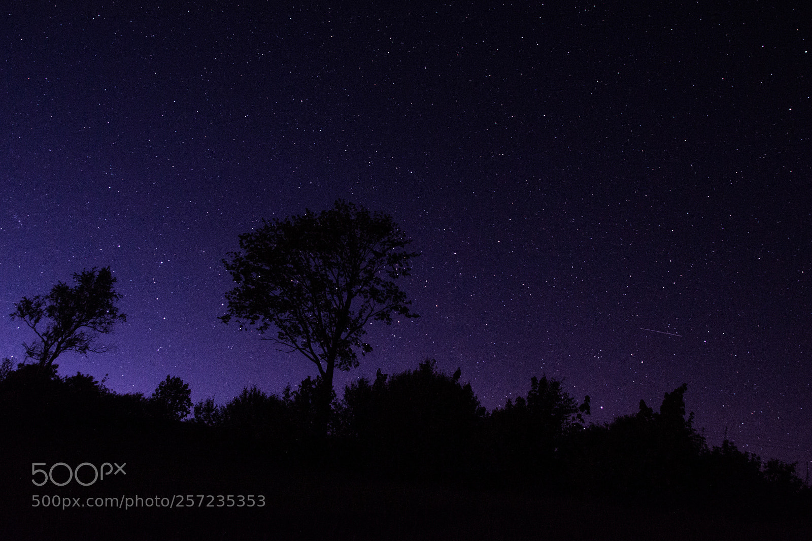 Nikon D5200 sample photo. Night photography