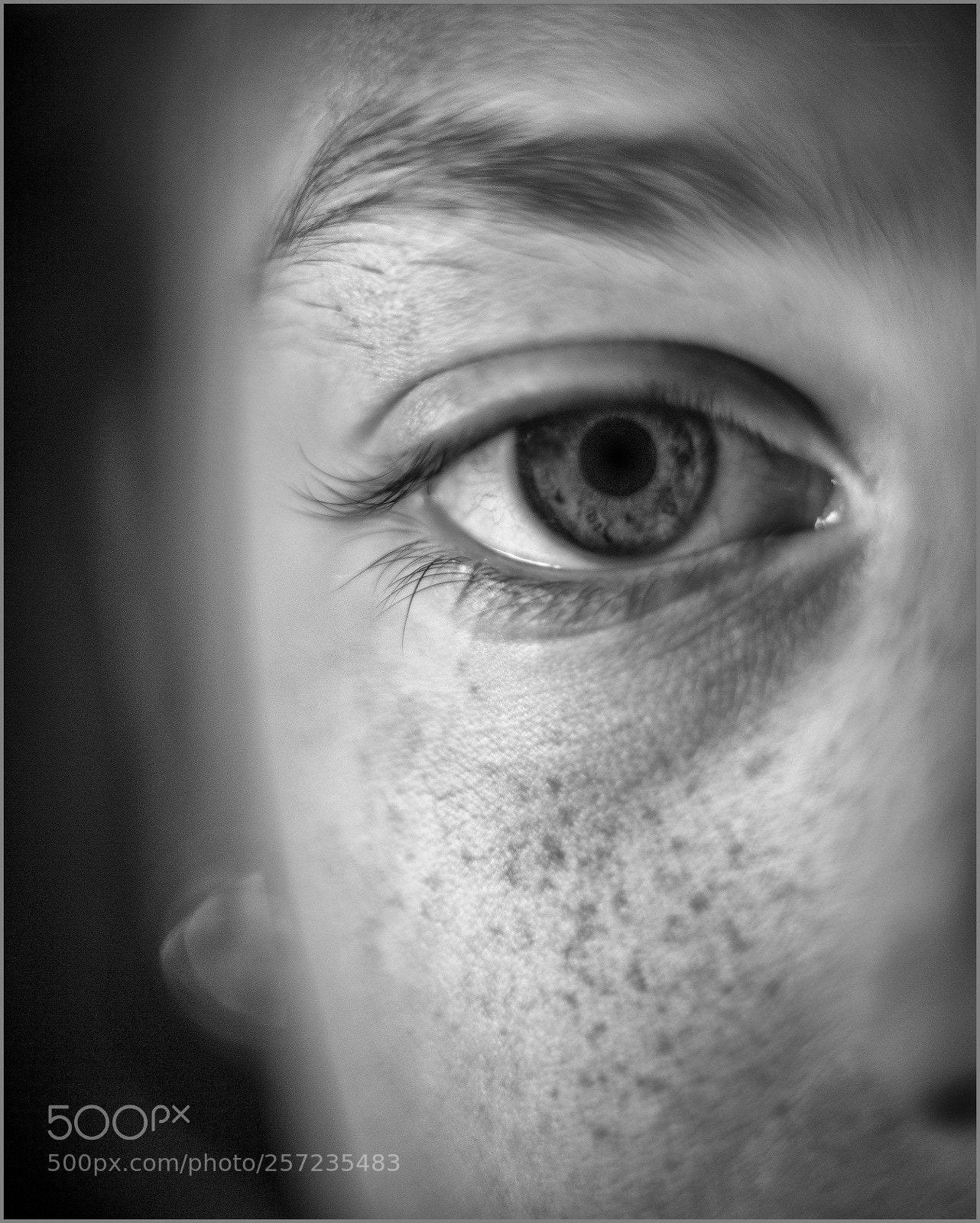 Canon EOS 6D sample photo. Art is in the photography