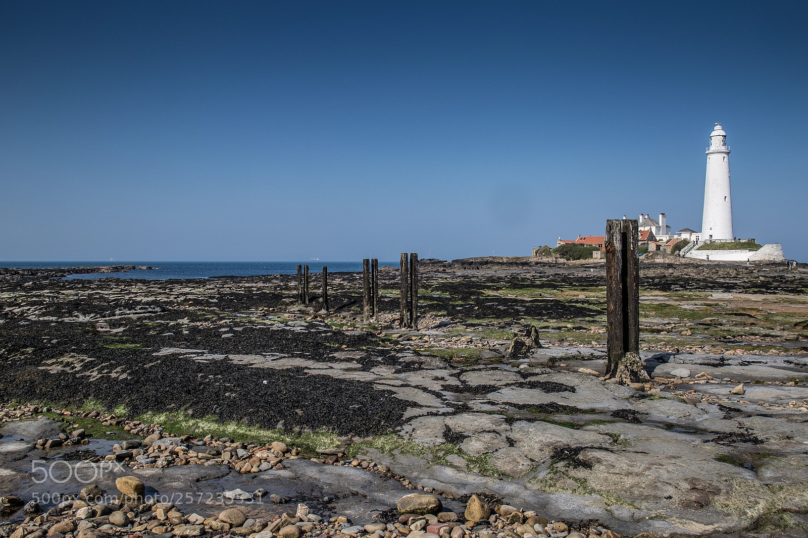 Canon EOS 6D sample photo. St mary's at low photography