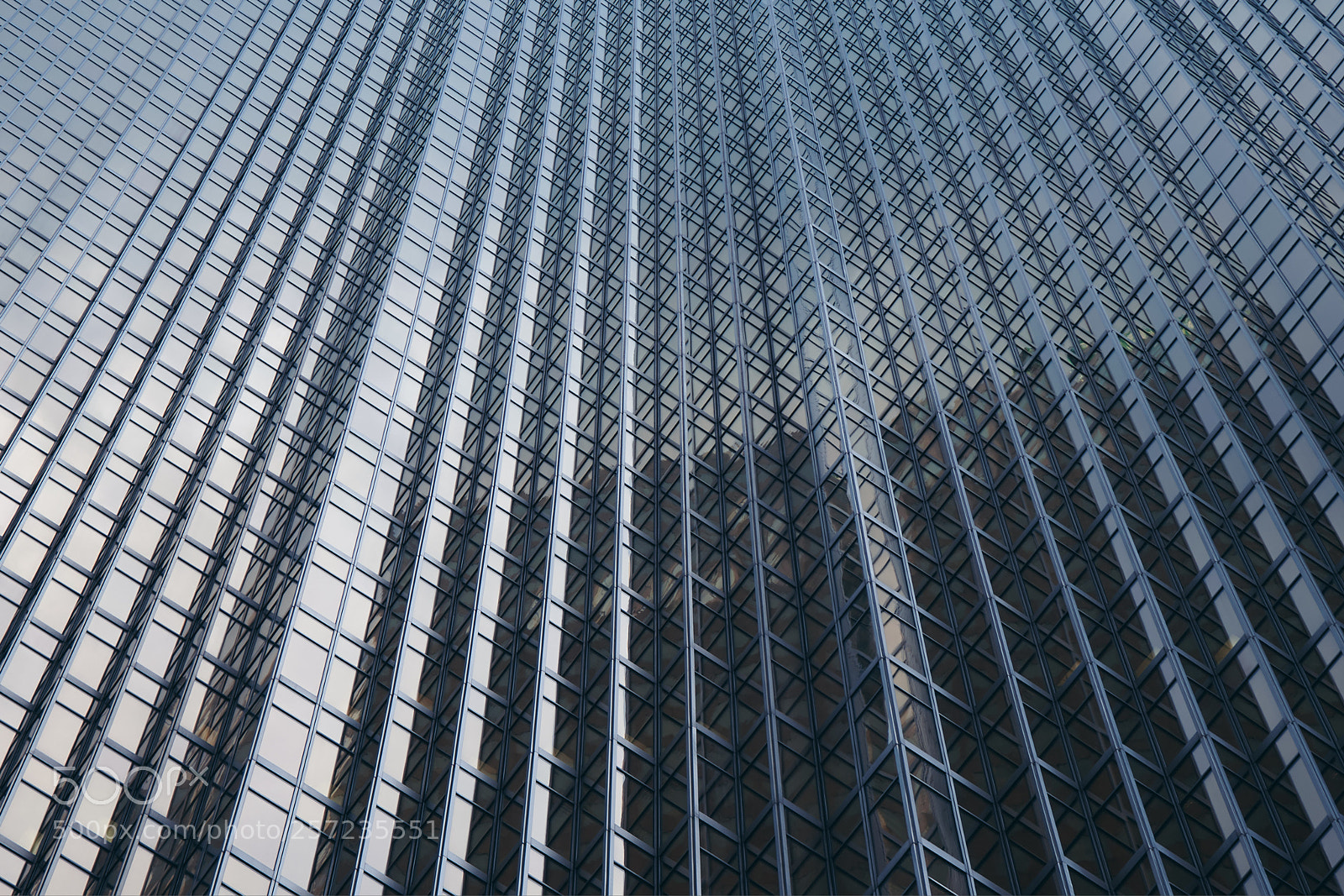 Sony a7 III sample photo. To the sky photography
