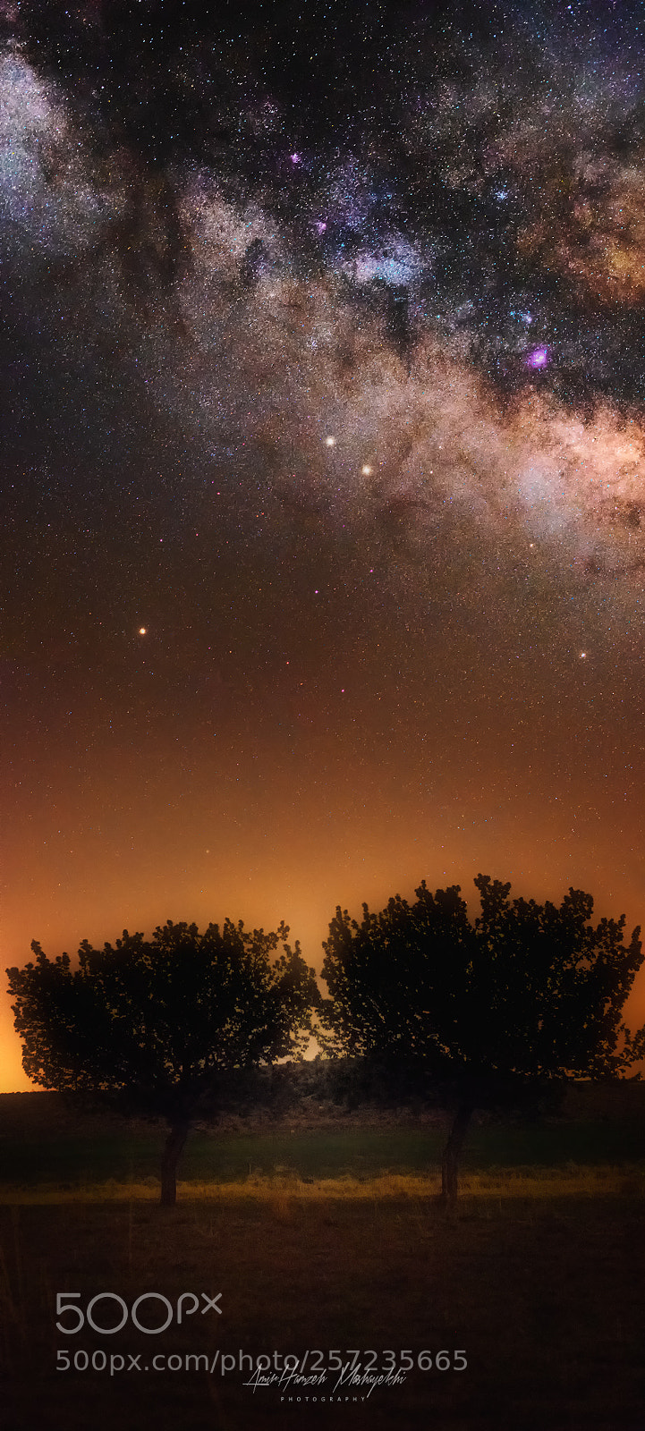 Nikon D750 sample photo. The twins photography
