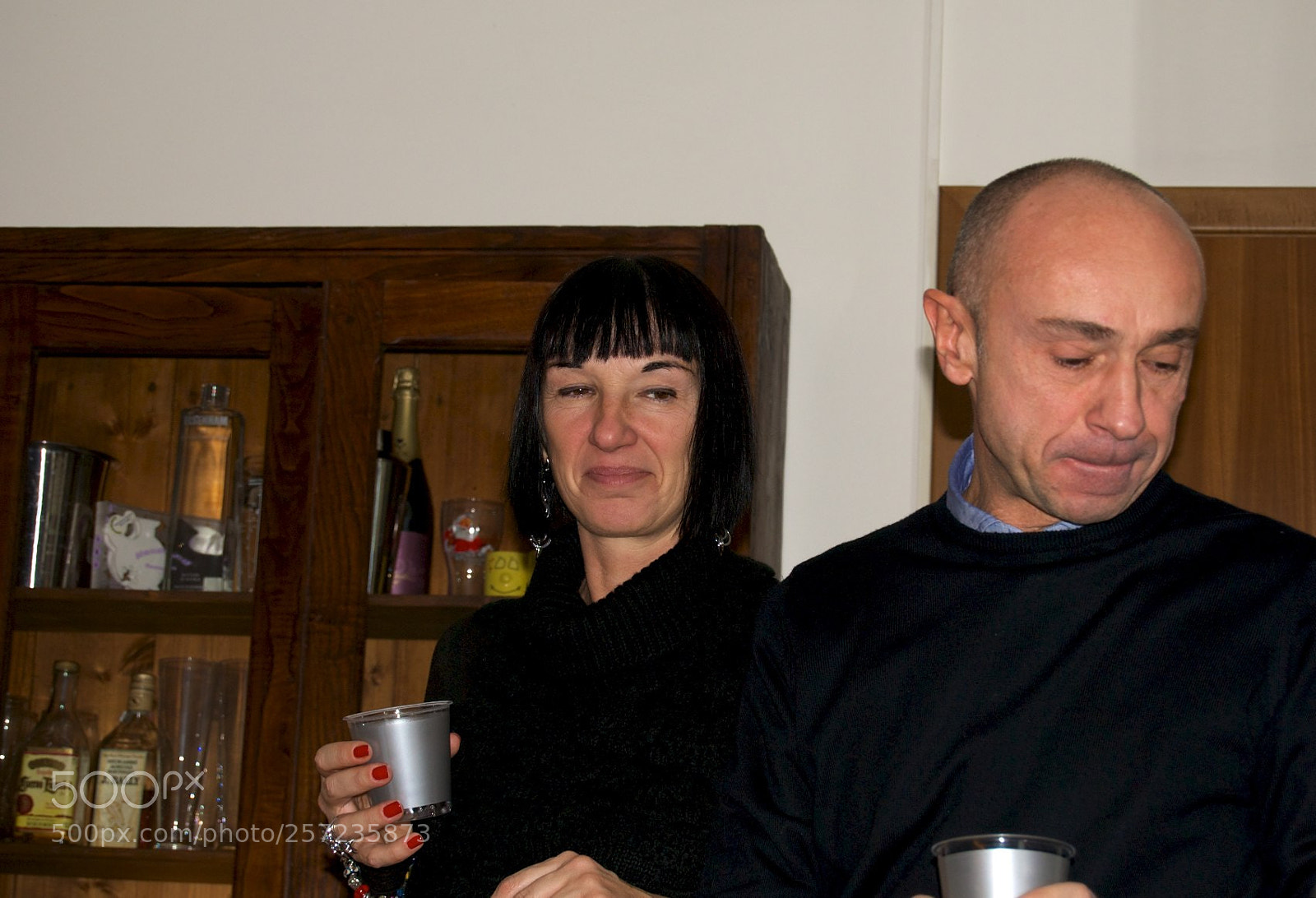 Nikon D60 sample photo. Version photography