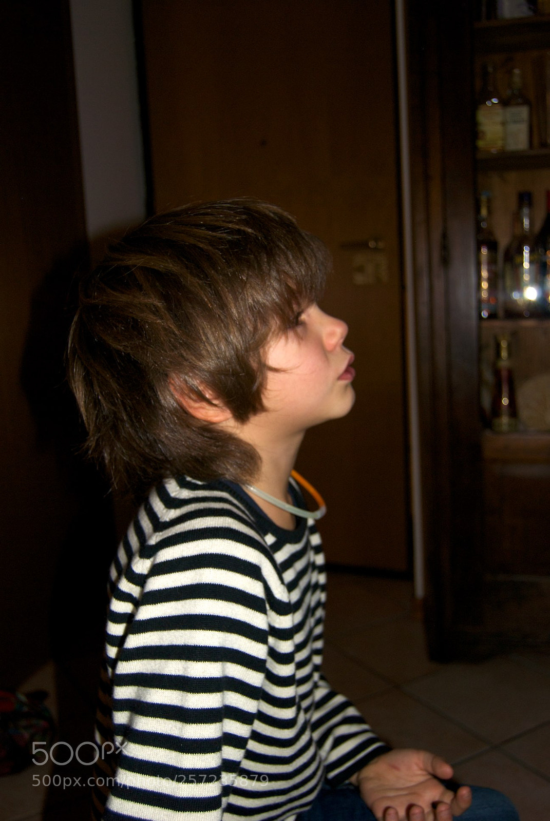 Nikon D60 sample photo. Version photography