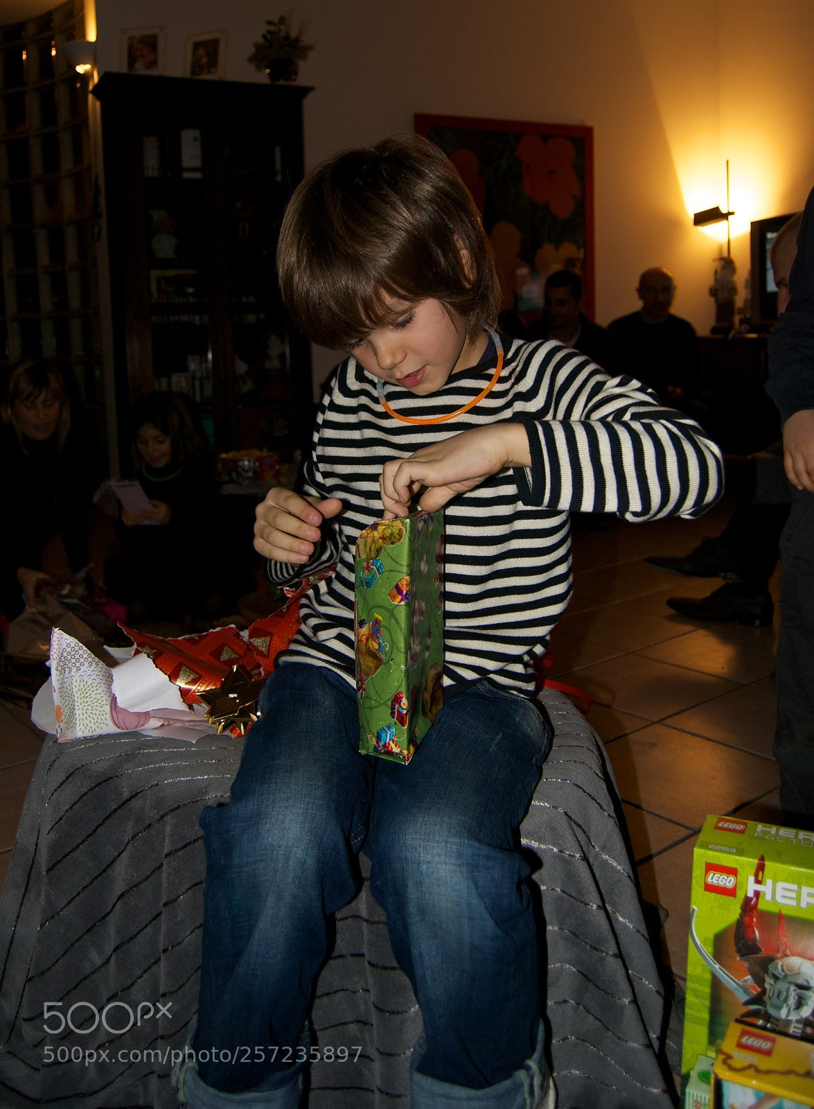 Nikon D60 sample photo. Version photography