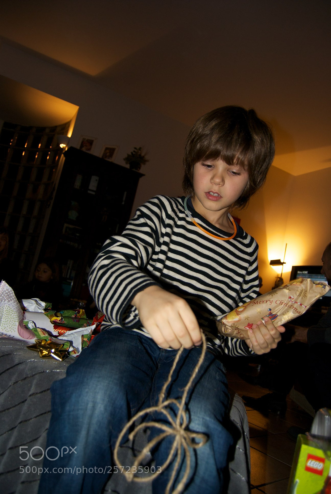 Nikon D60 sample photo. Version photography