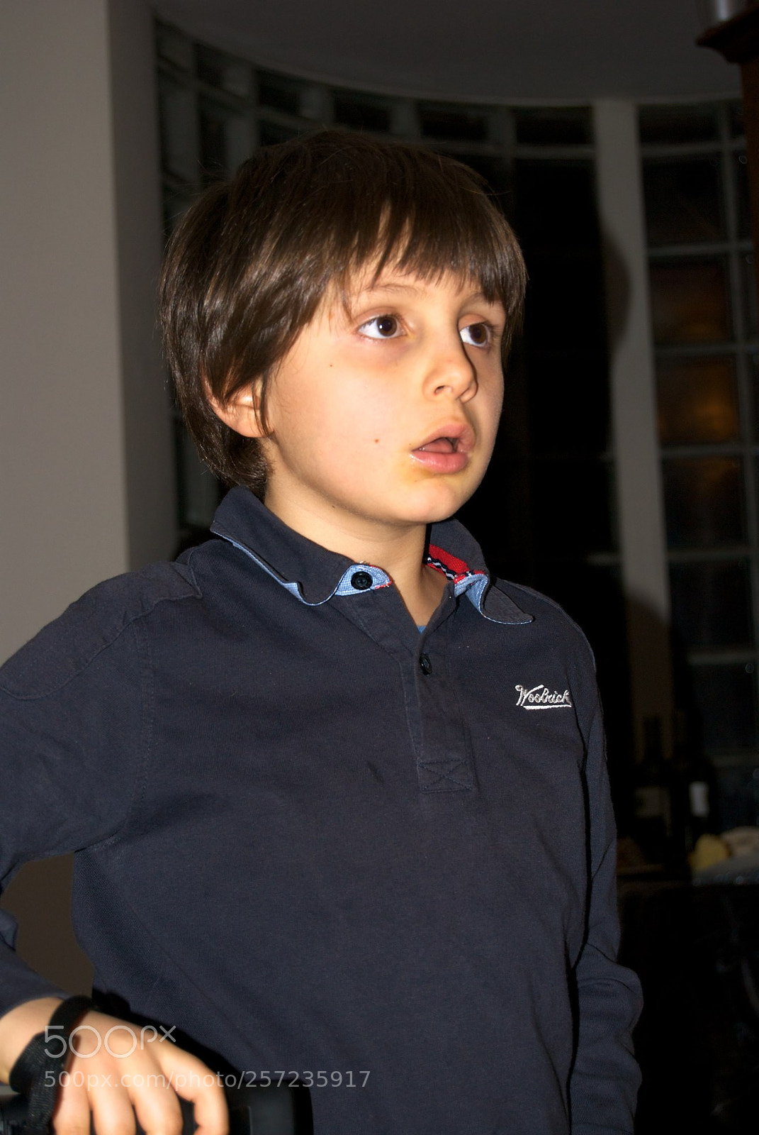 Nikon D60 sample photo. Version photography
