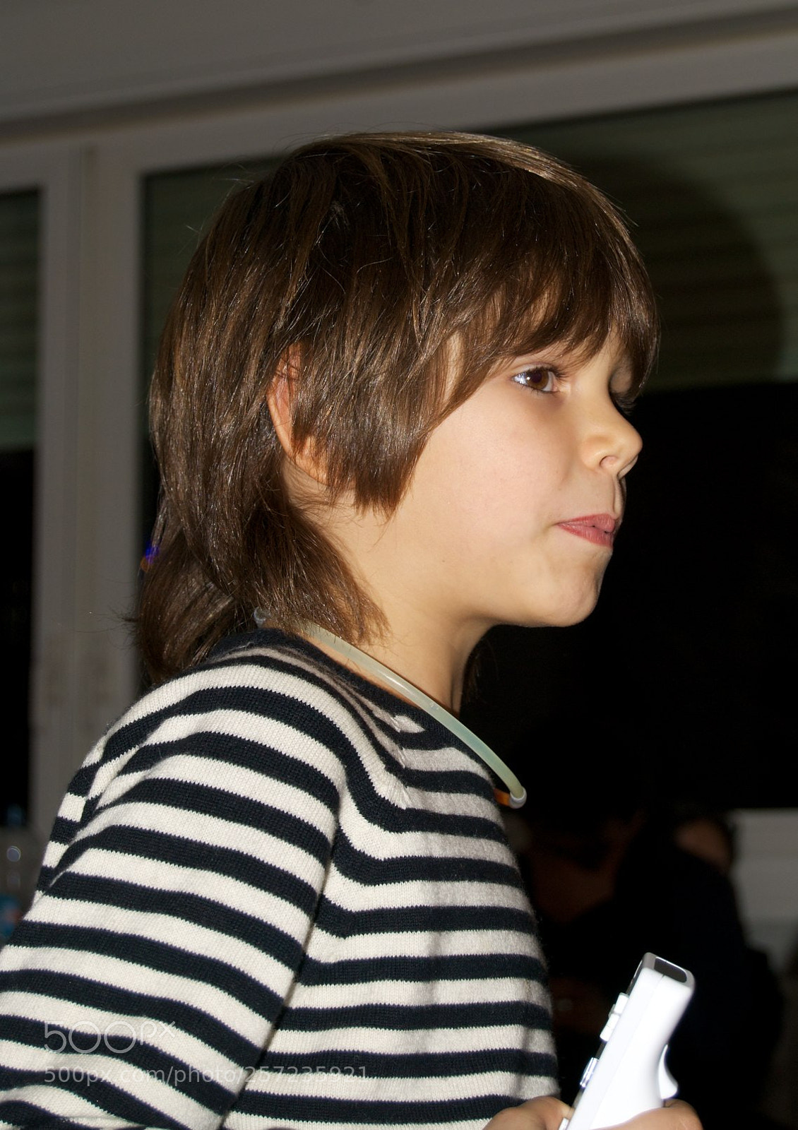 Nikon D60 sample photo. Version photography