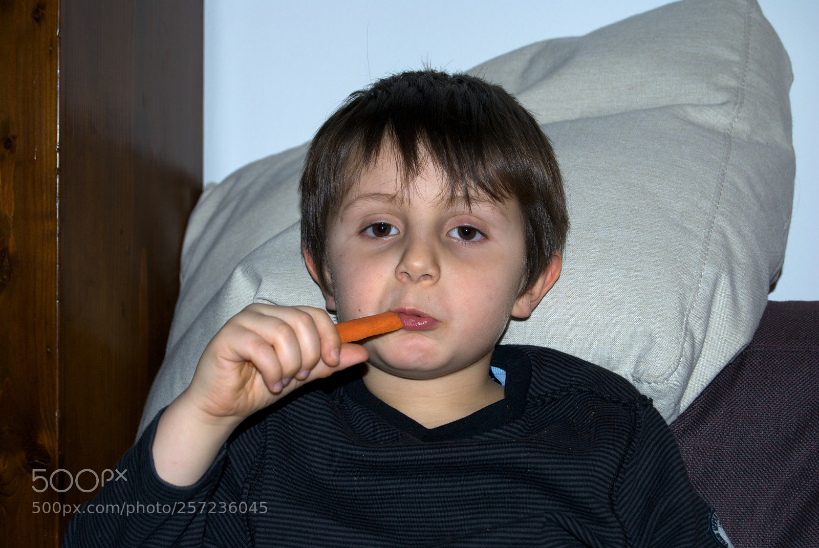 Nikon D60 sample photo. Version photography