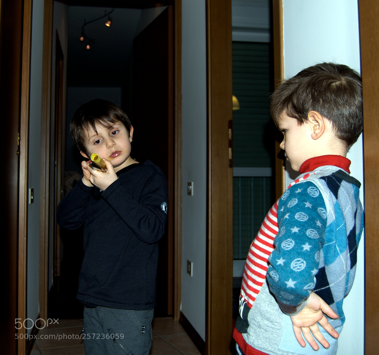 Nikon D60 sample photo. Version photography