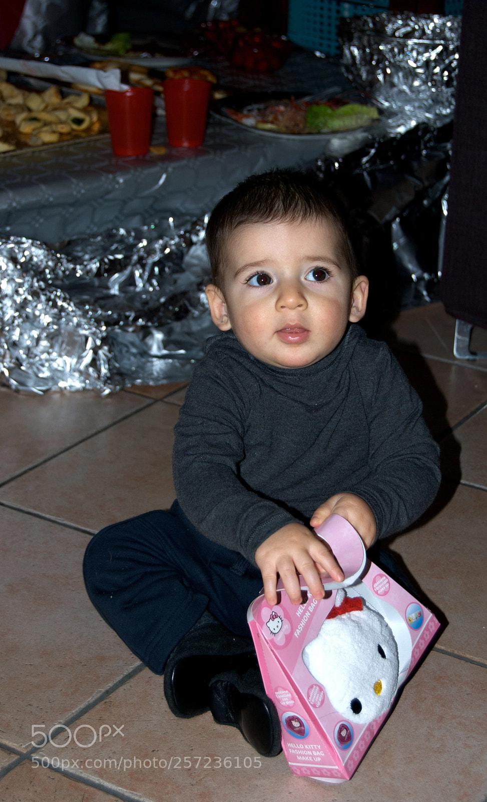 Nikon D60 sample photo. Version photography
