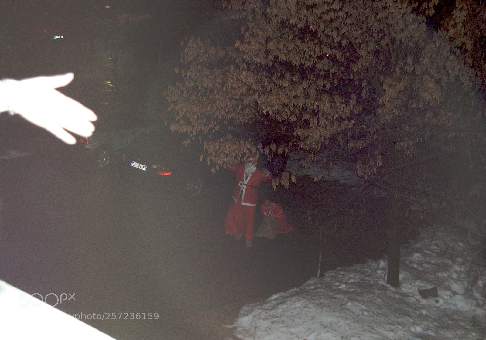 Nikon D60 sample photo. Version photography