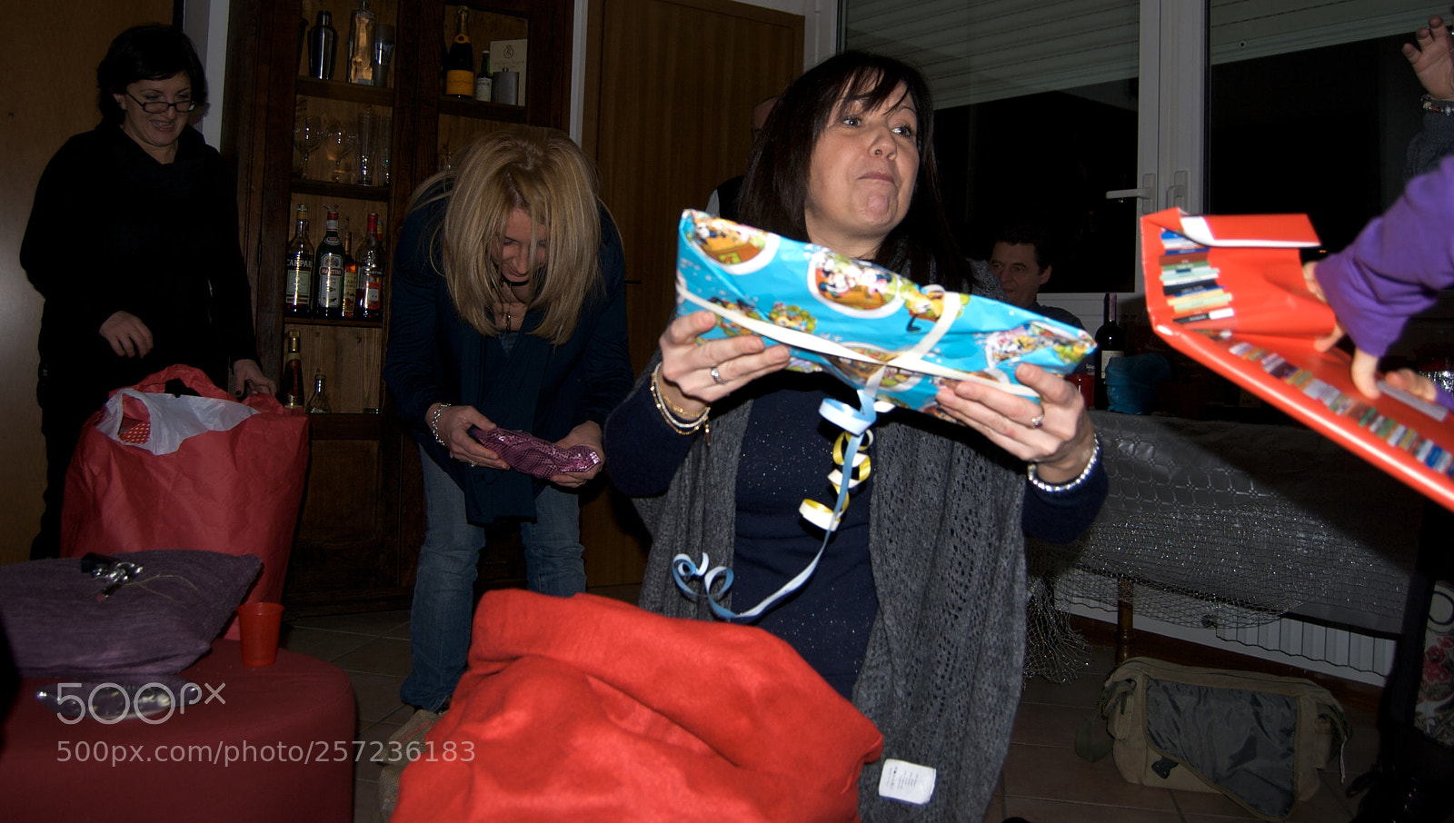 Nikon D60 sample photo. Version photography
