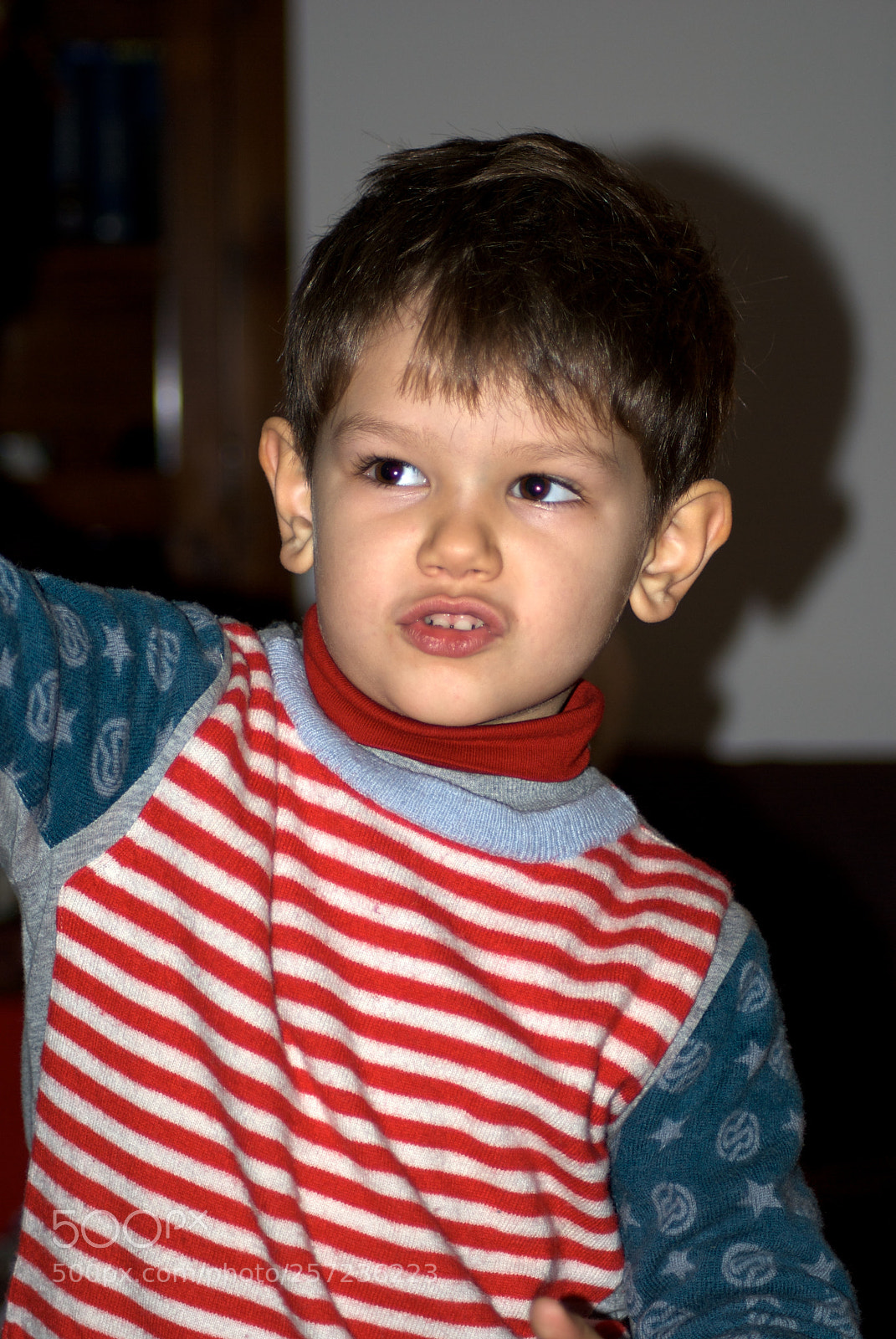 Nikon D60 sample photo. Version photography