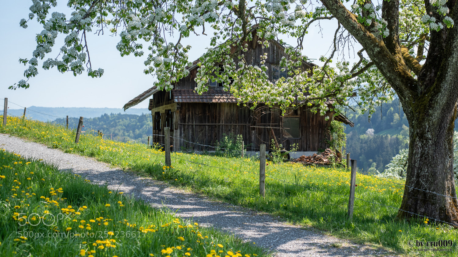 Nikon D750 sample photo. Luzern - old barn photography