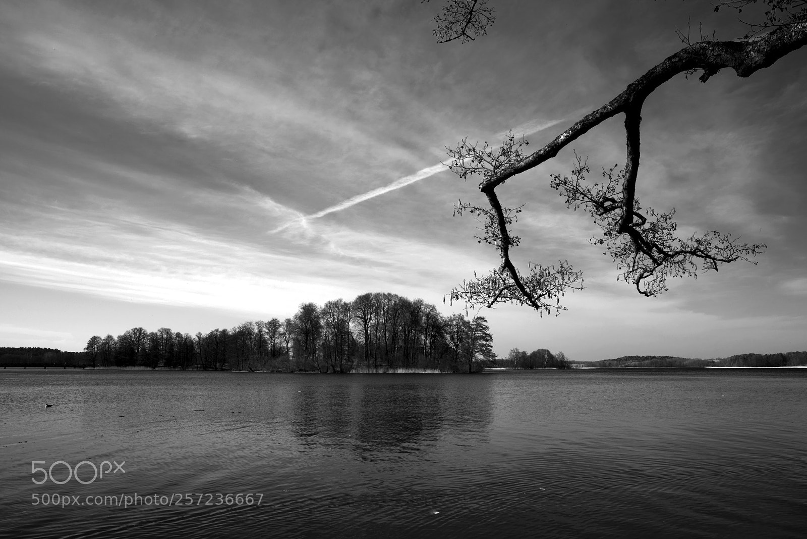 Nikon D750 sample photo. Trakai - lithuania  photography