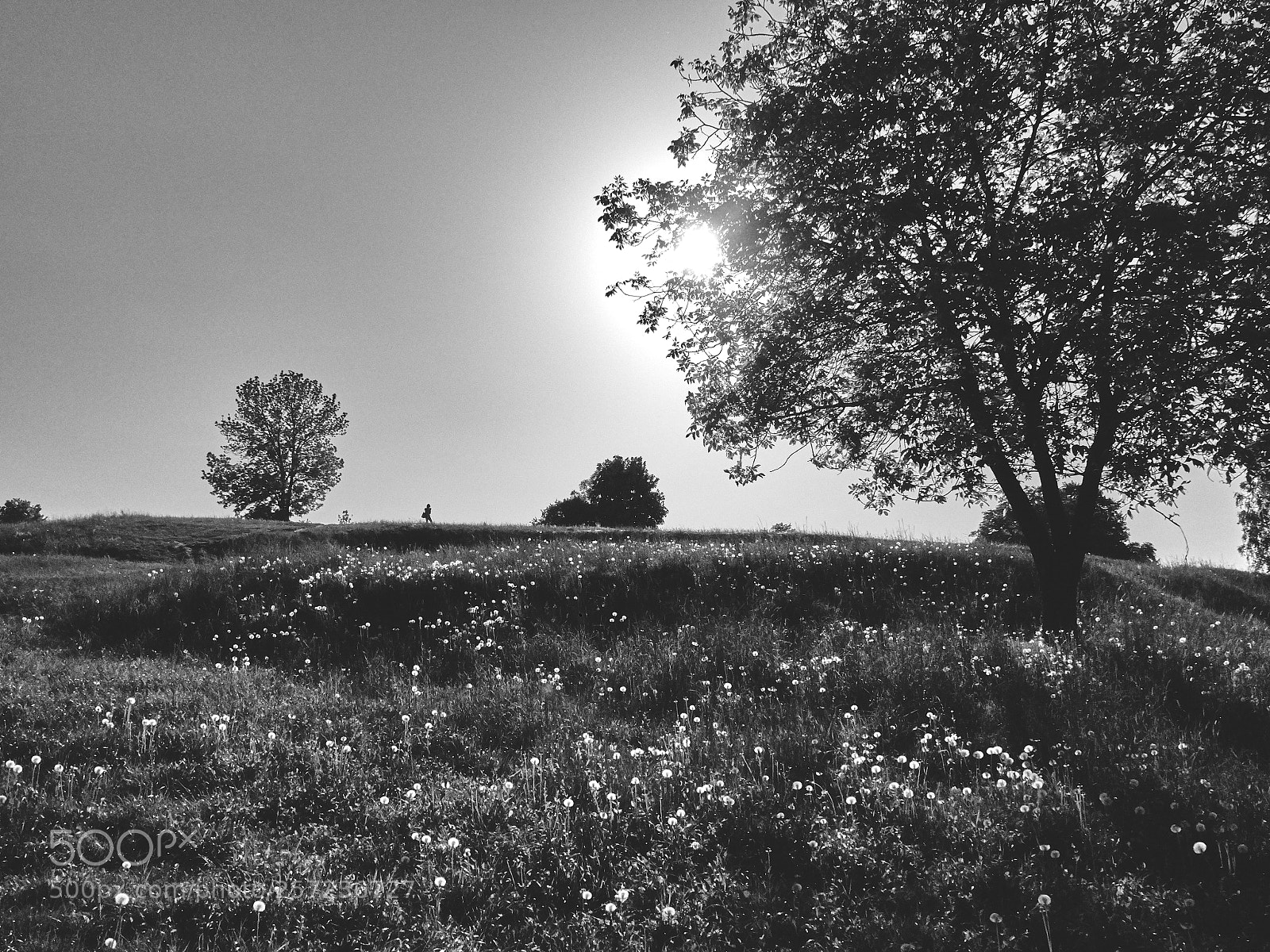 Olympus OM-D E-M10 II sample photo. Kraków photography