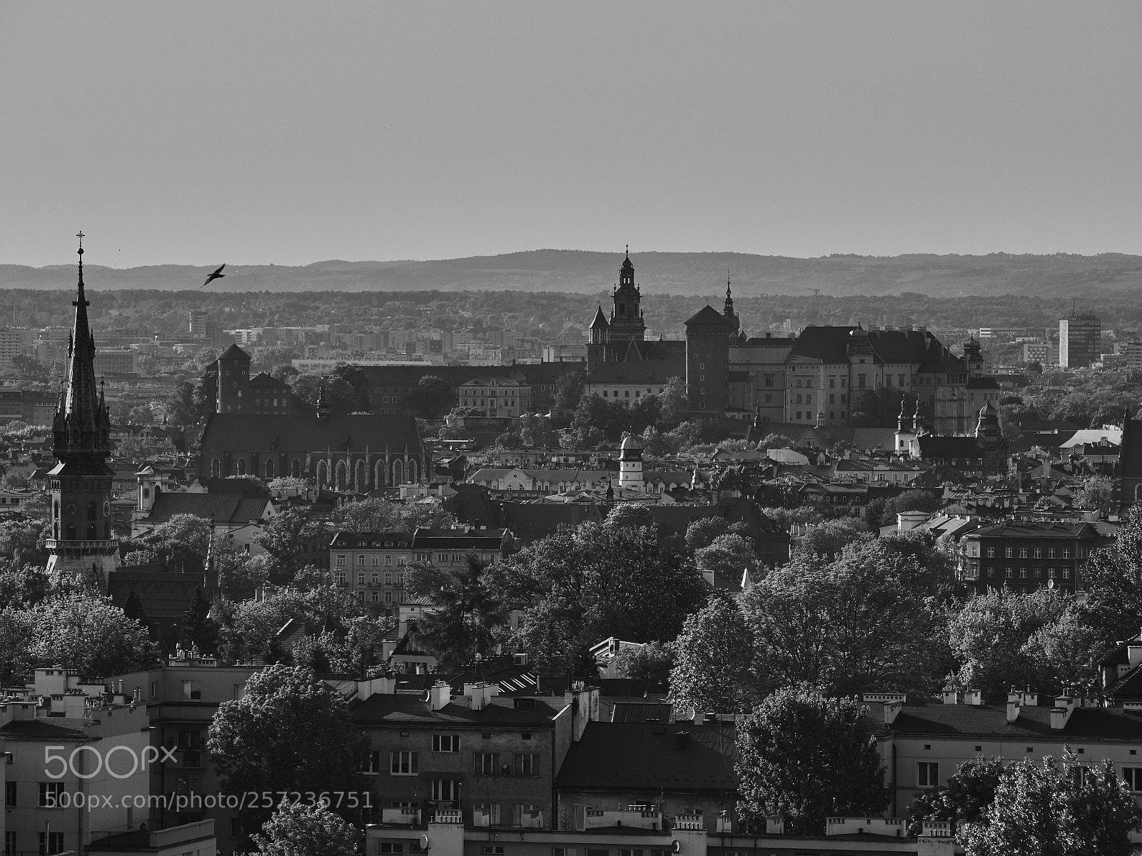 Olympus OM-D E-M10 II sample photo. Kraków photography