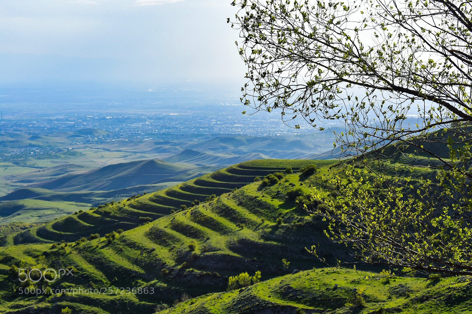 Nikon D3400 sample photo. Green hills photography