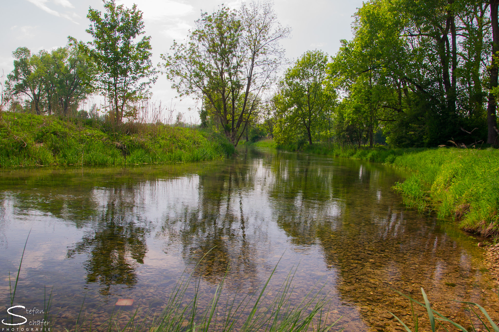 Sony Alpha DSLR-A550 sample photo. Idyllic photography