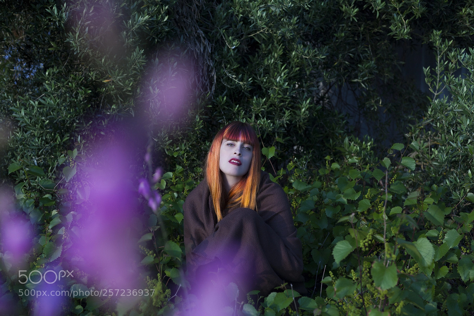 Canon EOS 5D sample photo. Into the forest photography