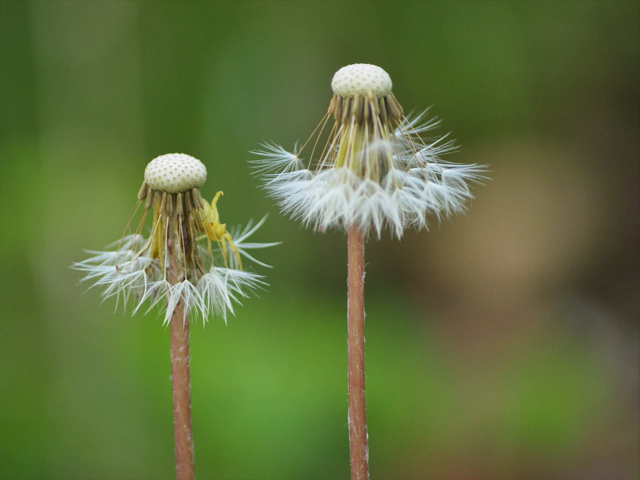 Nikon D3200 sample photo