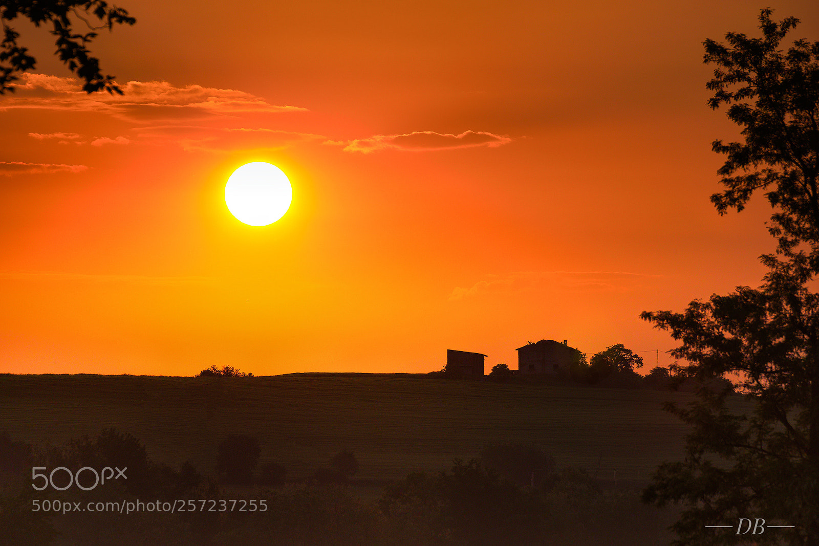 Nikon D3300 sample photo. Good morning sun photography